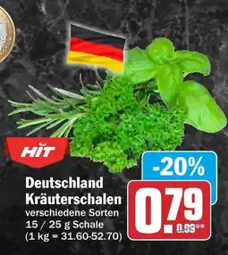 AEZ Deutschland Kräuterschalen Angebot