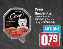 AEZ Cesar Hundefutter Angebot