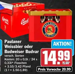 AEZ Paulaner Weissbier oder Budweiser Budvar Angebot