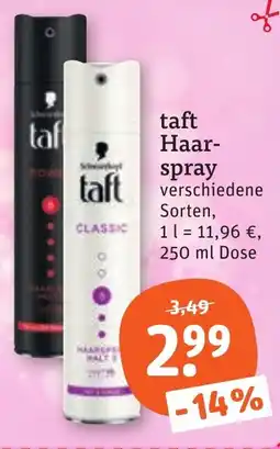 tegut taft Haarspray Angebot