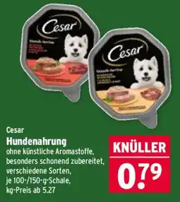 Wasgau Cesar Hundenahrung Angebot
