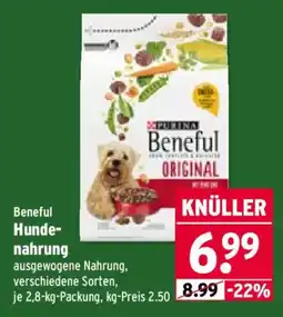 Wasgau Beneful Hunde-nahrung Angebot