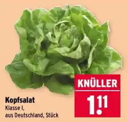 Wasgau Kopfsalat Angebot