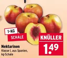 Wasgau Nektarinen Angebot