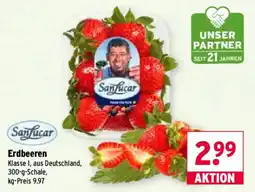 Wasgau Sanfucar Erdbeeren Angebot