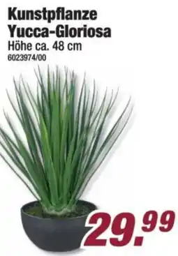 Poco Kunstpflanze Yucca-Gloriosa Angebot