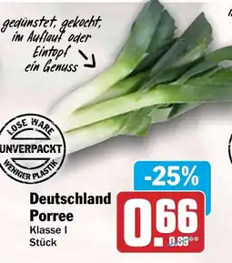 HIT Ullrich Porree Angebot