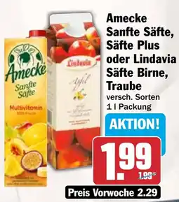 HIT Ullrich Amecke Sanfte Säfte Angebot