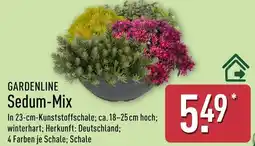 Aldi Nord GARDENLINE Sedum-Mix Angebot