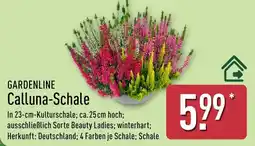 Aldi Nord GARDENLINE Calluna-Schale Angebot