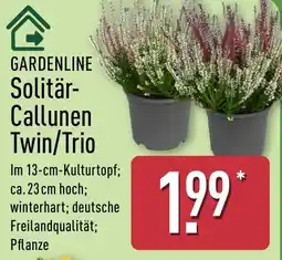Aldi Nord GARDENLINE Solitär-Callunen Twin/Trio Angebot