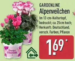 Aldi Nord GARDENLINE Alpenveilchen Angebot