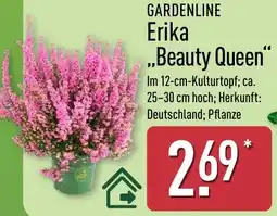 Aldi Nord GARDENLINE Erika Beauty Queen Angebot