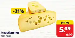 2Brüder Maasdammer Angebot