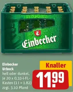 REWE Einbecker Urbock Angebot