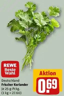 REWE Frischer Koriander Angebot