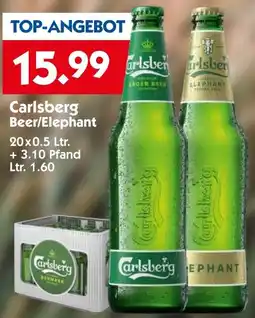 Hol'ab Getränkemarkt Carlsberg Beer/Elephant Angebot