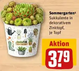 REWE Sommergarten Angebot