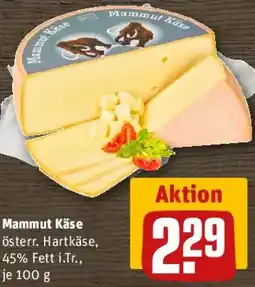 REWE Mammut Käse Angebot