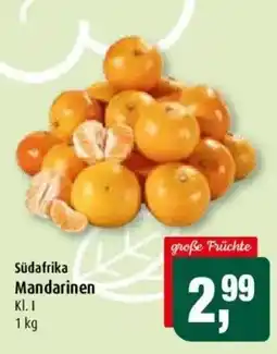 Markant Südafrika Mandarinen Angebot
