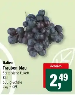 Markant Trauben blau Angebot