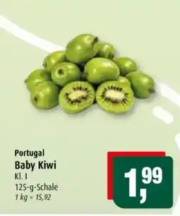 Markant Baby Kiwi Angebot