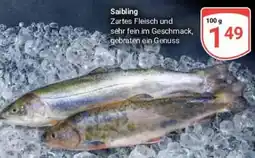 Globus Baumarkt Saibling Angebot
