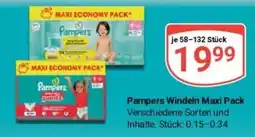 Globus Baumarkt Pampers Windeln Maxi Pack Angebot