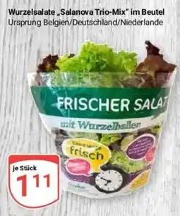 Globus Baumarkt Wurzelsalate Salanova Trio-Mix Angebot