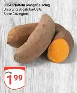 Globus Baumarkt Süßkartoffeln orangefleischig Sorte Covington Angebot