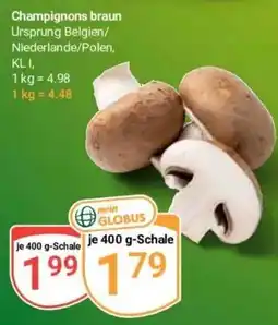 Globus Baumarkt Champignons braun Angebot