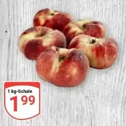 Globus Baumarkt Pfirsich Angebot