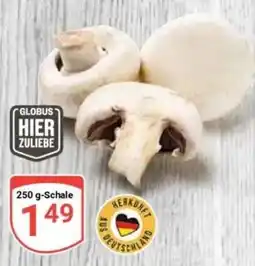 Globus Baumarkt Globus Champignons Angebot