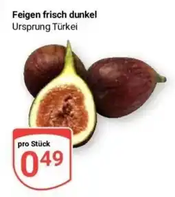 Globus Baumarkt Feigen frisch dunkel Angebot