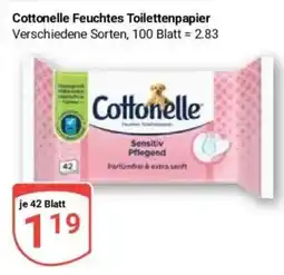 Globus Baumarkt Cottonelle Feuchtes Toilettenpapier Angebot