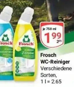 Globus Baumarkt Frosch WC-Reiniger Angebot