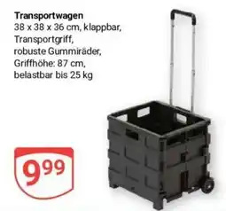 Globus Baumarkt Transportwagen Angebot