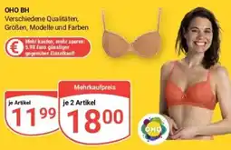Globus Baumarkt OHO BH Angebot