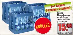 Profi Getränke Hassia Mineralwasser Angebot