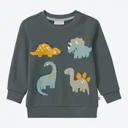 NKD Baby-Jungen-Sweatshirt mit Dino-Motiv Angebot