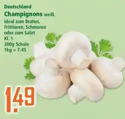 Klaas und Kock Champignons weiß Angebot