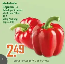 Klaas und Kock Niederlande Paprika rot Angebot