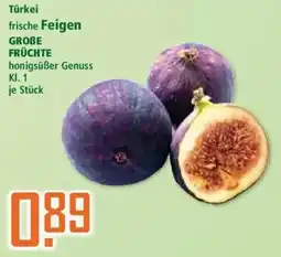 Klaas und Kock Türkei frische Feigen Angebot