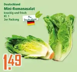 Klaas und Kock Deutschland Mini-Romanasalat Angebot