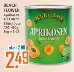 Klaas und Kock BEACH FLOWER Aprikosen Angebot