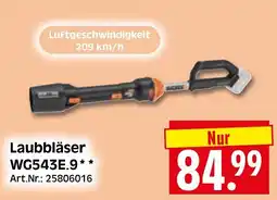 Herkules Baumarkt Laubbläser WG543E.9 Angebot