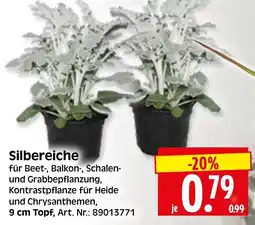Herkules Baumarkt Silbereiche Angebot