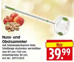 Herkules Baumarkt Nuss- und Obstsammler Angebot