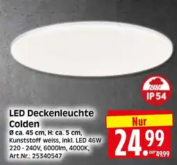 Herkules Baumarkt LED Deckenleuchte Colden Angebot