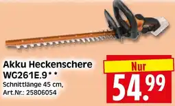 Herkules Baumarkt Worx Akku Heckenschere WG261E.9 Angebot